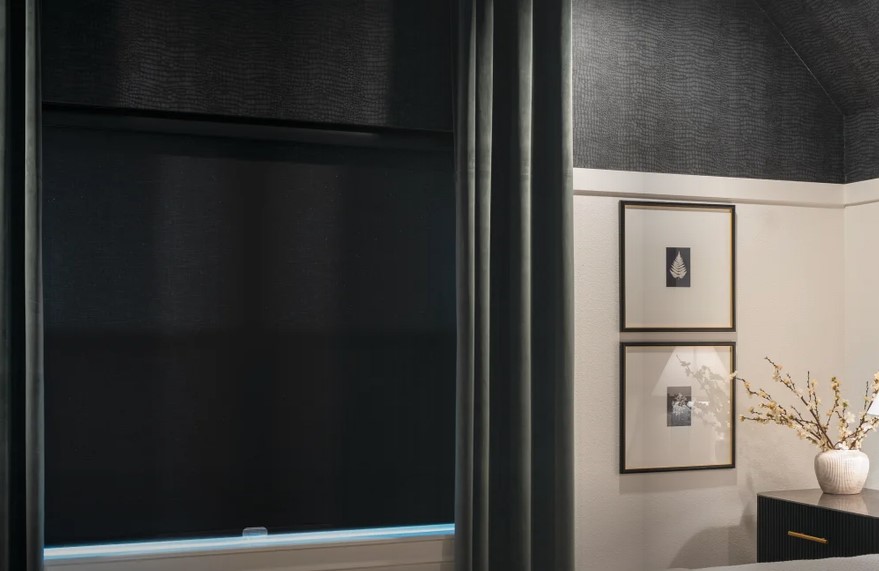 Why Are Blackout Roller Shades Essential?