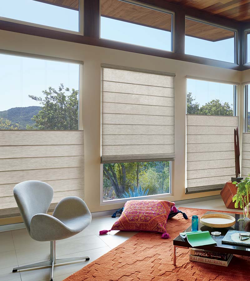 Who Needs Top-Down Shades in Modern Urban Apartments?